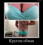 5416468.webp
