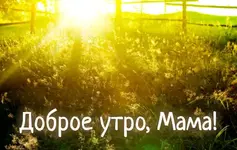 46466465.webp