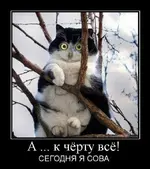 246-640x721.webp