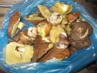 Изображение 058.webp