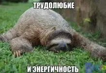 Без названия (45).jpeg