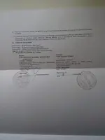 received_1300481690130400.jpeg received_1300481690130400.jpeg