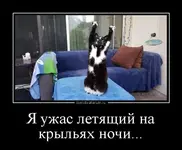demotivatorium_ru_ja_ujas_letjashij_na_kriljah_nochi_113622.webp