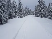 1494515012-5402-322449-UA96TJqq-1024x768.webp 1494515012-5402-322449-UA96TJqq-1024x768.webp