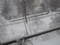 Изображение 104.webp