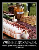 uchjonye-dokazali-chto-50-gramm-pered-edoj-ne-tolko-polezno.webp