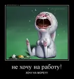 demotivatorium_ru_ne_hochu_na_rabotu_94500-422x450.webp