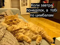 91080454_2841742682562035_4202709646135263232_n.webp 91080454_2841742682562035_4202709646135263232_n.webp