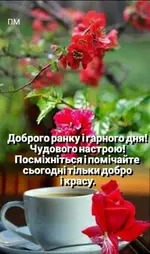 IMG-8d3642c7dd6c55443e229ca6934e2714-V.webp