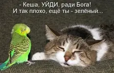 1567243701_35.webp