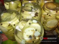 Изображение 102.webp