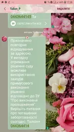 Screenshot_20190326-173804_Messages.webp