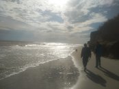 IMG_20201017_141333.jpg IMG_20201017_141333.jpg