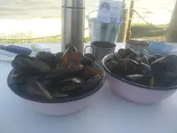 IMG_20201017_151835.webp IMG_20201017_151835.webp