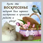 IMG-52d0fab590adfb217b0e9535e5728e2a-V.webp