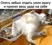 IMG-c080793dfb1e3d380885c1af45c7bad4-V.webp