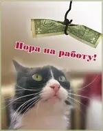 IMG-25ad2d0734f6532336faa2cfe21af4d8-V.webp