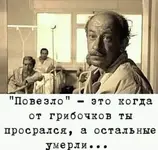IMG-4a0979734427f5c458fdc34bcc03bd28-V.webp