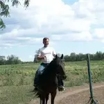 ок))) на коне.webp