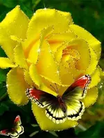 IMG-075412a8663a69d9da9436b4e26ad8f4-V.webp