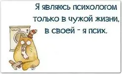 загружено (3).webp