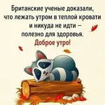 437ad8d0e39c5f39201a935f14a20069.webp