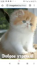 Screenshot_20201203-053816.webp