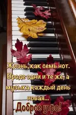 IMG-64c4f94159126e4333b9afdd006ee3c1-V.webp