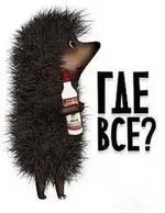 f9144dfe33c7a6cc22bcd5c5cbe93928.webp