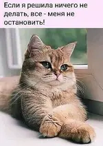 IMG-d39723dcf25c806ae0e724271f341db5-V.webp