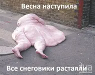 874263.webp