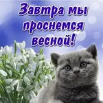IMG-b0420d0b3d3c7f342eb984266f64e1da-V.webp