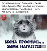 IMG-c193e0a8cbbcf1c22962e05ea8189cfb-V.webp