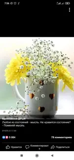 IMG-c7bb6faa969317ef73f2756f2ea1d547-V.webp