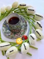 IMG-d4f31141603316a9495e7c5cccd3745a-V.webp