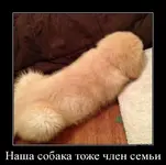 IMG-a9a8149a9c6c5e293edf894c4ac7a664-V.webp