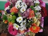 1551568065593.webp