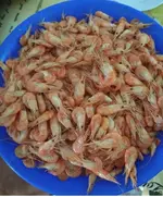 IMG_20210809_161249.jpg