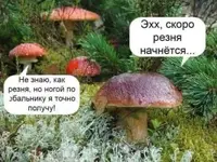 FB_IMG_1628629616819.webp