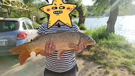 IMG_20210813_122412.webp