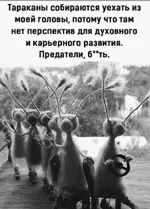 2021-08-16 09.58.25.webp