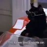 Salem Saberhagen