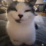 Lisa mow