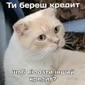 rj_