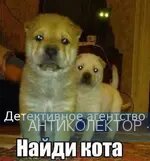 1626648856.webp