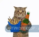 кот-держит-копченой-рыбы-и-пива-бежевый-большой-наблюданный-кошка-193215540.webp