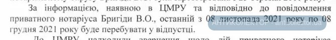 бригида 2.webp