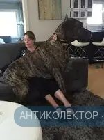 images (12).webp