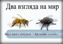 D4BIF7oX4AEbhFN.jpg