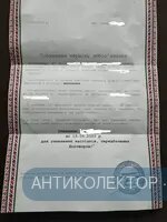 353890753_278565057986245_2670396961745376627_n.webp